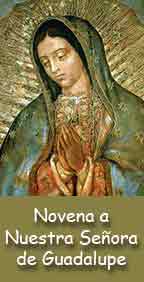 Haz clic aquí para rezar la Novena a Nuestra Señora de Guadalupe