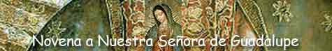 clic aquí para rezar la Novena a Nuestra Señora de Guadalupe